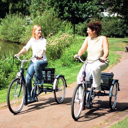 Tricycles électriques