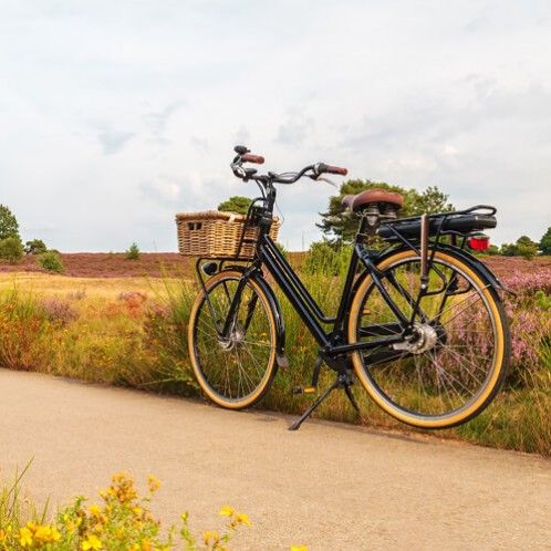 Vélos Hollandais électriques