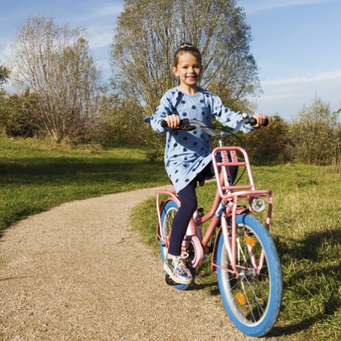 Vélos Hollandais 20 pouces