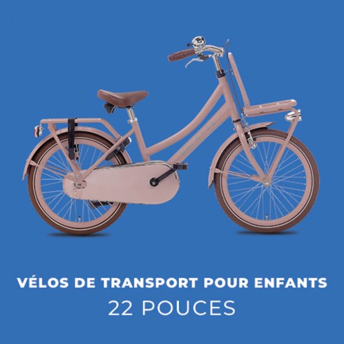 Vélos Hollandais 22 pouces