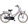 Vélo Hollandais Alpina Cargo 20 pouces Fille Tapis Rose En Bois