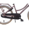 Vélo Hollandais Alpina Cargo 20 pouces Fille Tapis Rose En Bois