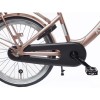 Vélo Hollandais Alpina Clubb 20 pouces Fille Rose Or Mat