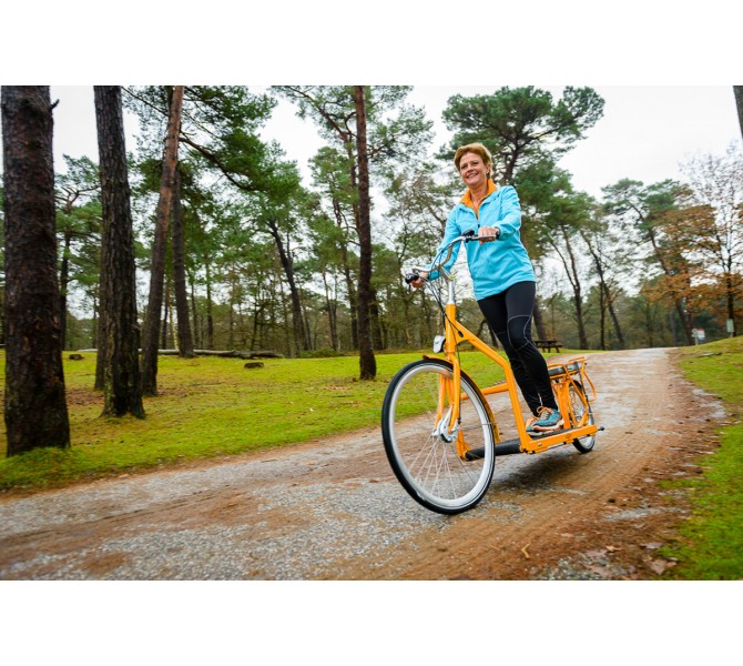 Lopifit le premier velo tapis roulant electrique au monde kopen Bestel direct online