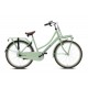 https://bikefactory.fr/image/cache/catalog/images/Fietsen/Nogan%20Cargo/V26N3-PASTEL-GREEN-1-80x80.jpg