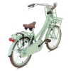 Vélo Hollandais Valetta Cargo 20 Pouces Filles Vert Pastel